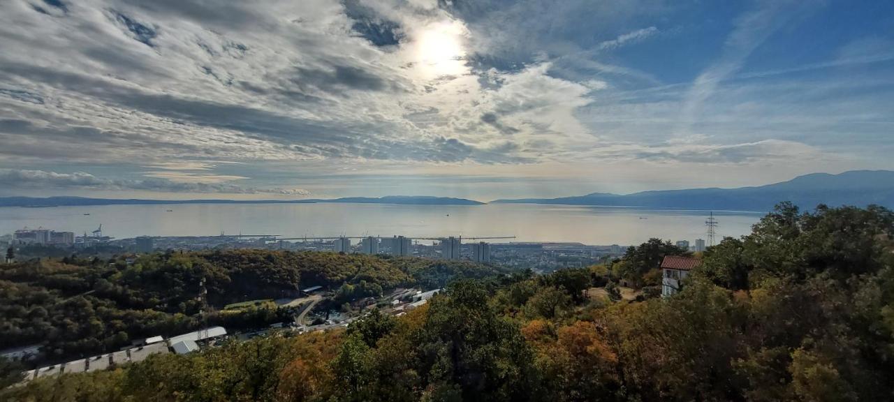 Drenova View Apartman *